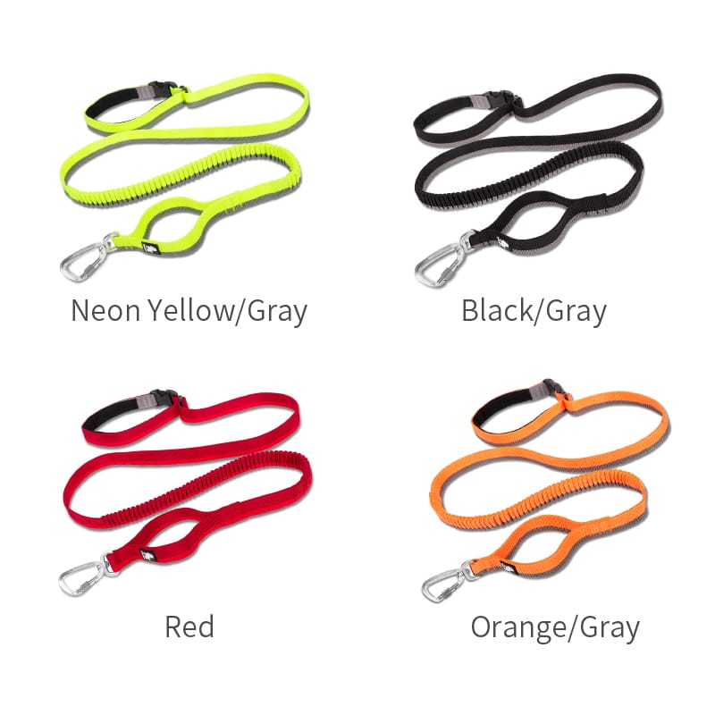 Truelove Nylon Bungee Dog Leash - immagine 3