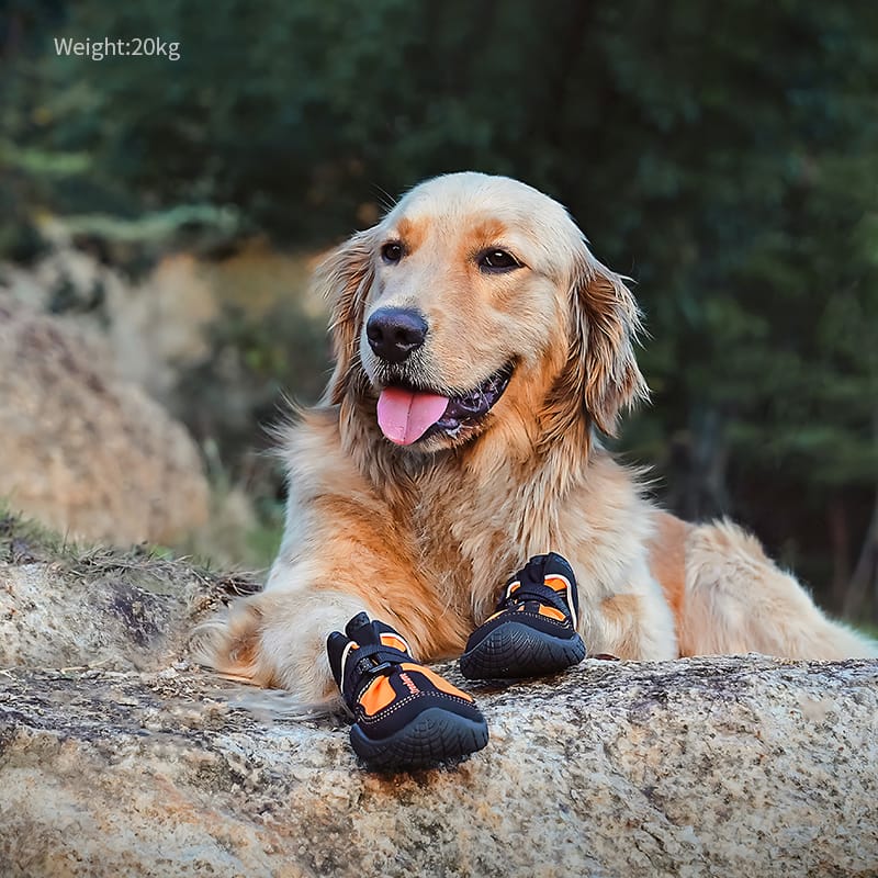 Truelove Outback Boots for Adventurous Pets Ultimate Protection and Comfort Shoes - immagine 4