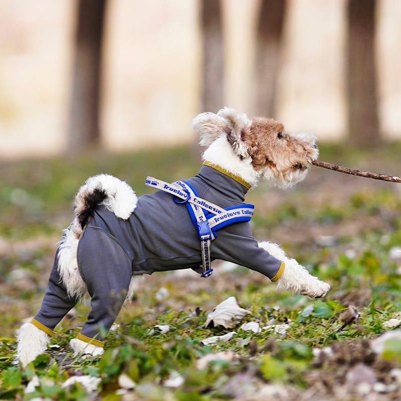 Truelove Convenient Comfortable Dog Harness - immagine 4