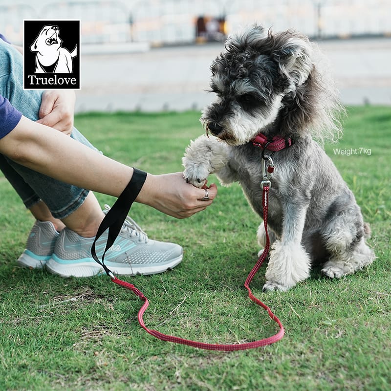 Truelove’s Reflective Lightweight Leash: Nighttime Safety, Daytime Convenience - immagine 8