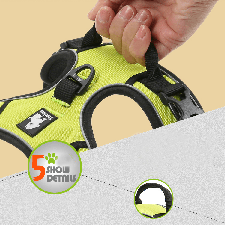 Truelove No Pull Outdoor Dog Harness - immagine 7