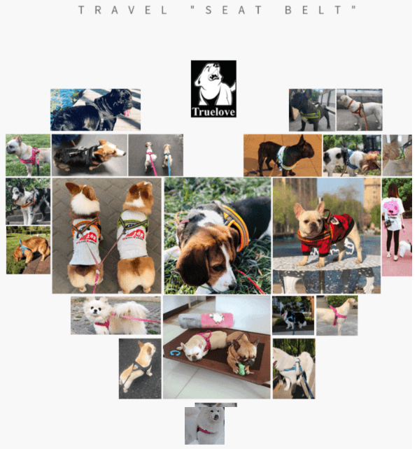 Truelove Mesh Padded Soft Breathable Dog Harness - immagine 10
