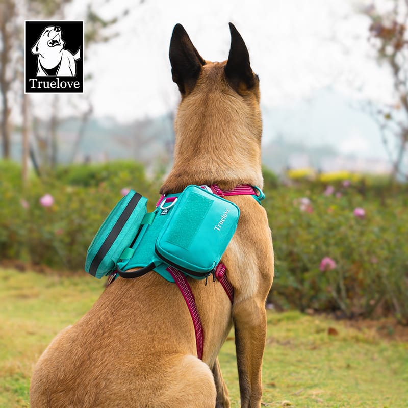 Truelove Versatile Pet Pouch: Durable, Spacious, and Adaptable - immagine 9