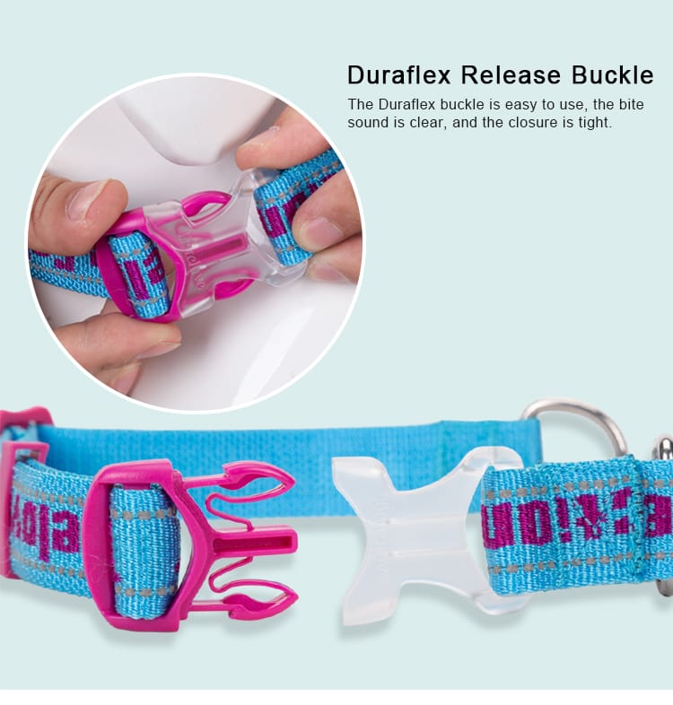 Truelove Dog Collar with Stainless Steel Chain - immagine 2