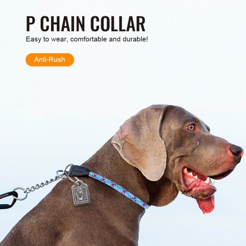 Truelove Secure Fit Durable Collar with Stainless Steel Safety Chain - immagine 2