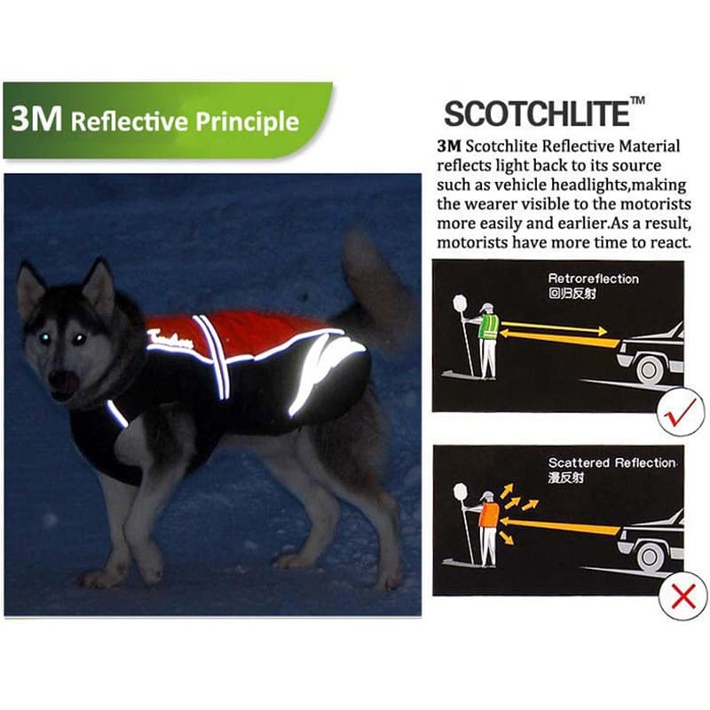 Truelove Premium Waterproof and Windproof Outdoor Dog Jacket - immagine 6
