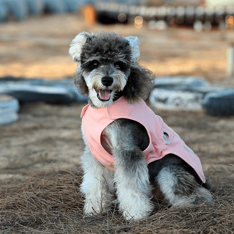 Truelove Pet Antibacterial Vest Bacterial Fabric-Tested by SGS Soft Pet Coat - immagine 8