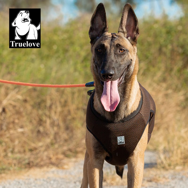 Truelove Secure Cool Pet Harness: Safety and Comfort Combined - immagine 8