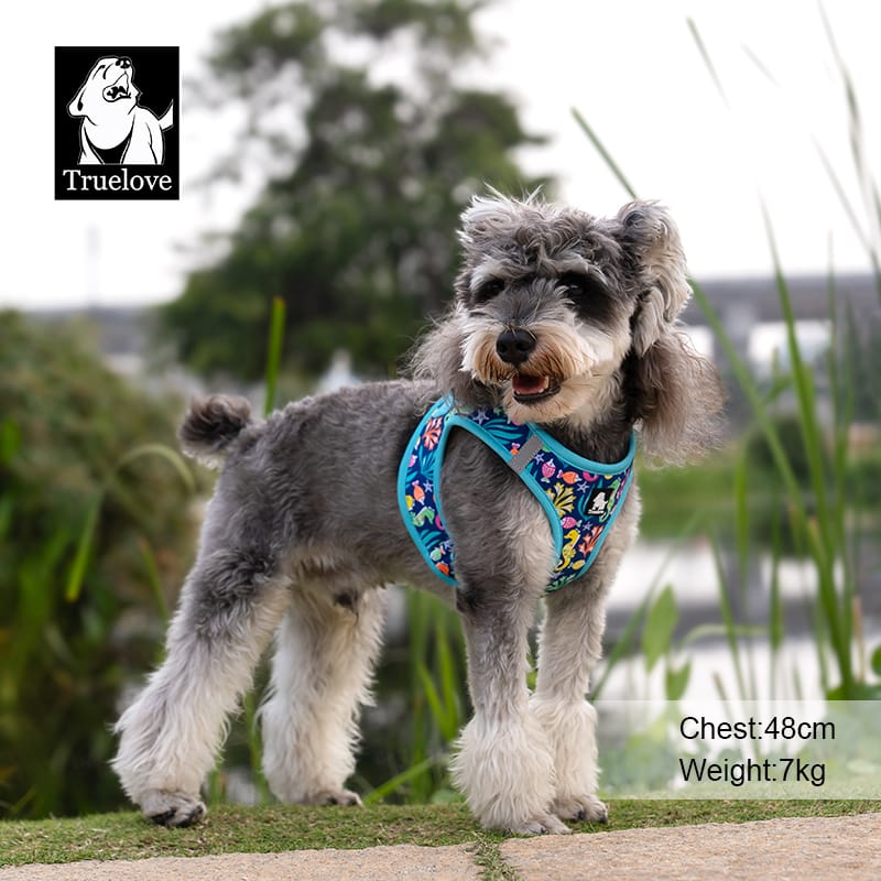 Truelove Easy Fit Quick-Release Pet Harness with Dual D-Rings - immagine 7
