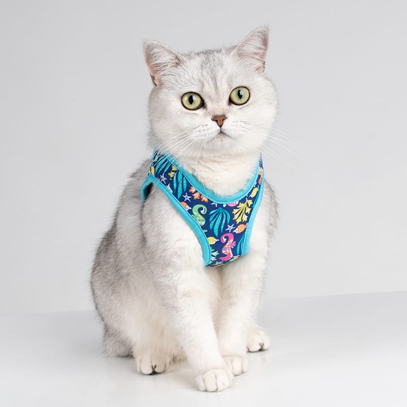 Truelove Easy Fit Quick-Release Pet Harness with Dual D-Rings - immagine 8