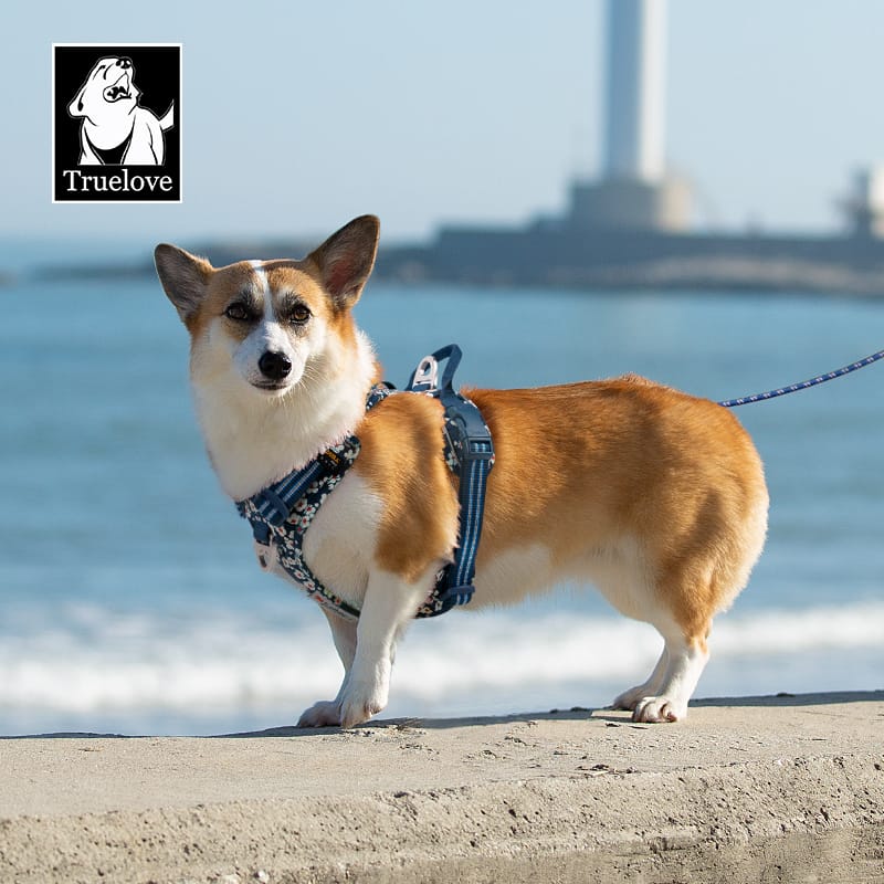 Truelove Easy On/Off Harness with Front and Back Leash Attachments - immagine 9