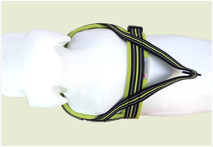 Truelove Mesh Padded Soft Breathable Dog Harness - immagine 8