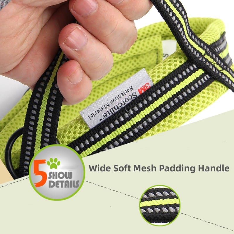 Truelove Mesh Padded Soft Breathable Dog Harness - immagine 7