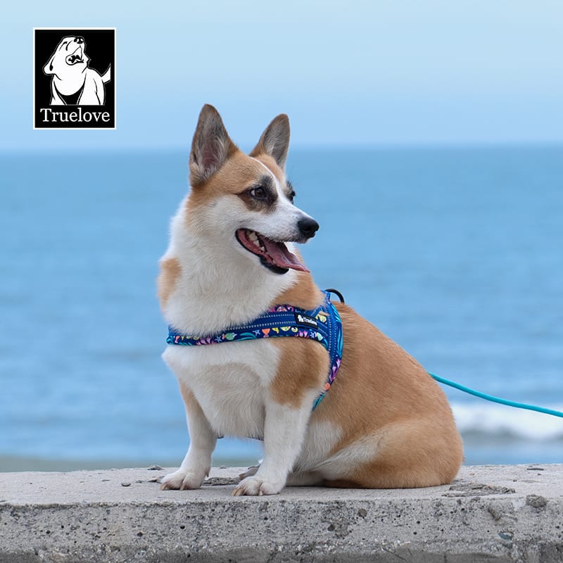 Truelove Adjustable Durable Harness with Reflective Webbing Soft Padded Harness - immagine 7