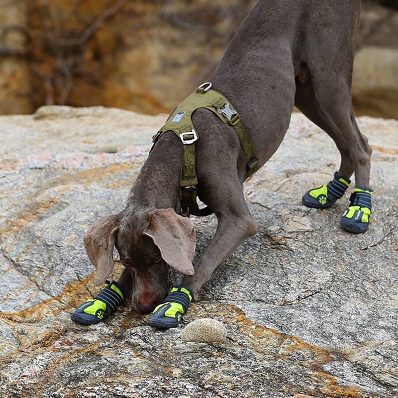 Truelove Cordura Fabric Soft Durable Tactical Dog Harness - immagine 2