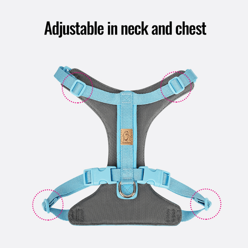Truelove All-In-One Environmentally Friendly Harness Set for Active Pets - immagine 9