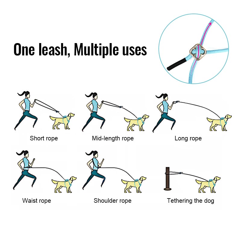 Truelove All-In-One Environmentally Friendly Harness Set for Active Pets - immagine 11