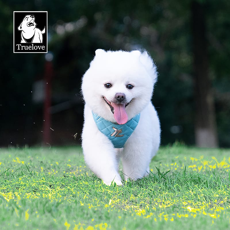 Truelove All-In-One Environmentally Friendly Harness Set for Active Pets - immagine 2