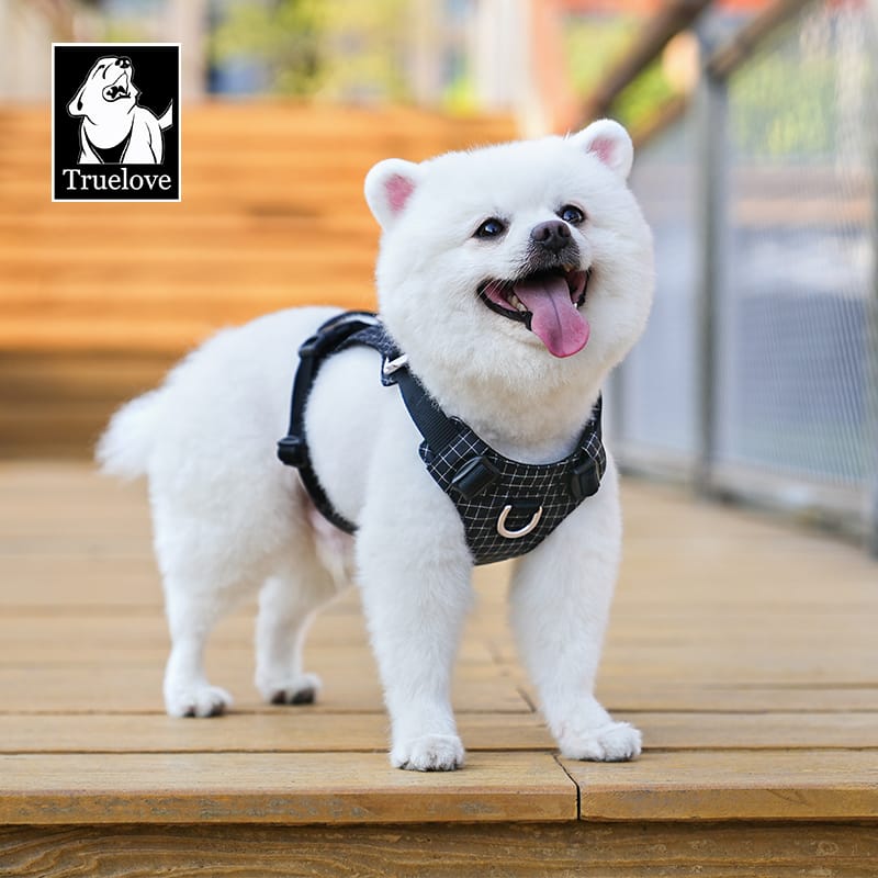 Truelove High-Tech Harness with LED Light and GPS Tracker Holder Innovative Harness - immagine 9