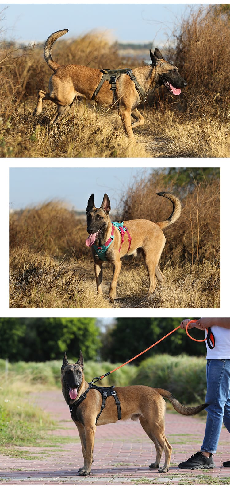 Truelove Escape-proof Reflective Tactic Dog Harness - immagine 11