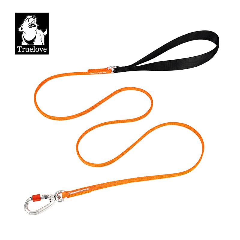 Truelove’s Reflective Lightweight Leash: Nighttime Safety, Daytime Convenience