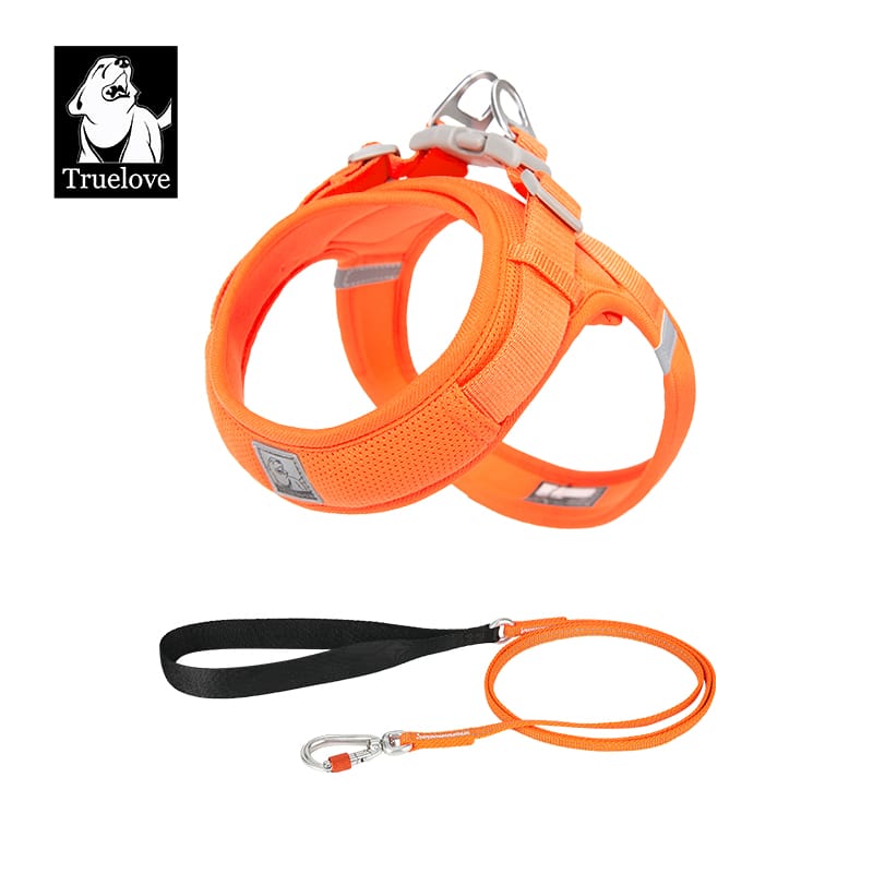 Truelove’s Reflective Lightweight Leash: Nighttime Safety, Daytime Convenience - immagine 7