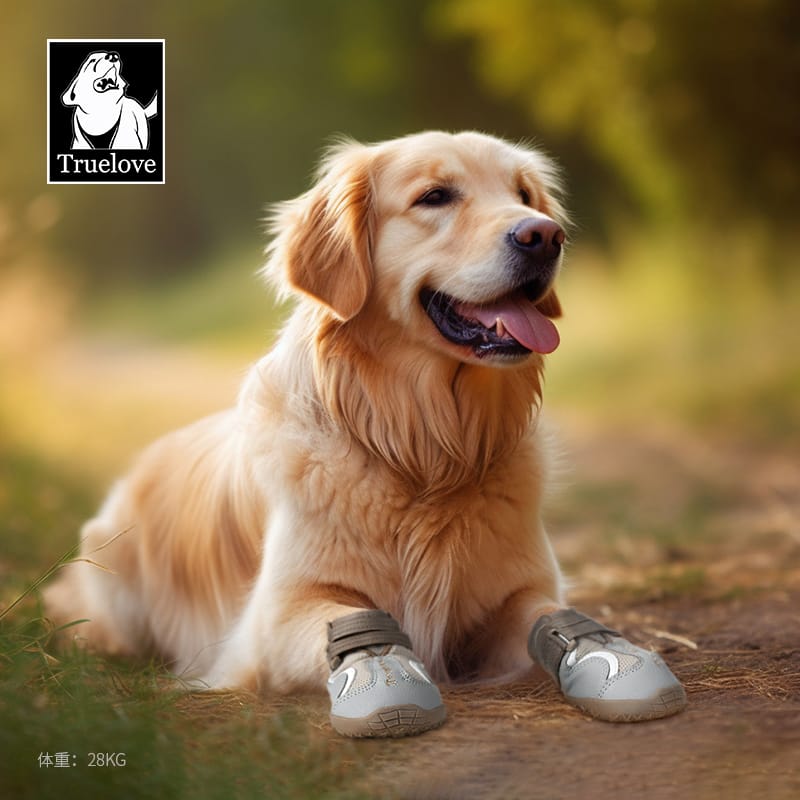 Truelove Breathable Mesh & Leather Outdoor Pet Shoes for Enhanced Paw Protection - immagine 7