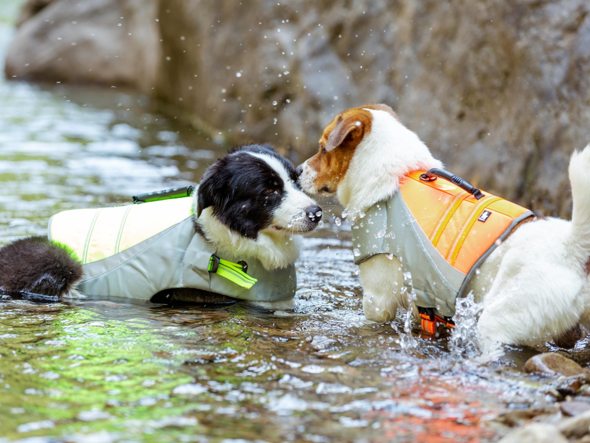 Truelove Outdoor Dog Life Jacket Stay Afloat in Style - immagine 5