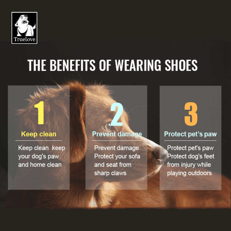 Truelove Breathable Mesh Pet Shoes for Comfort and Traction - immagine 5
