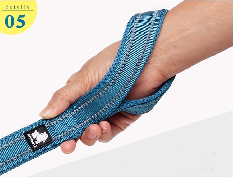 Truelove Mesh Padded Dog Leash - immagine 8