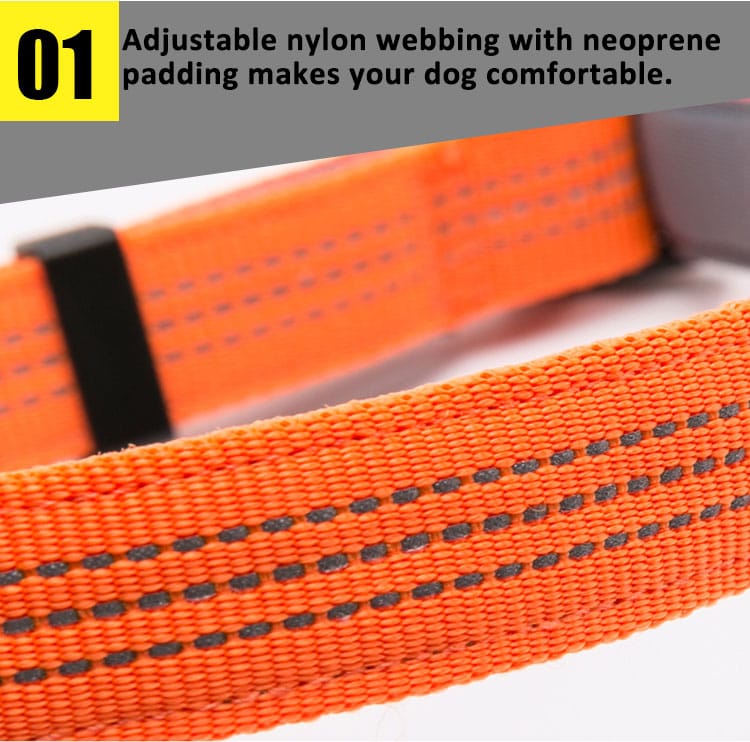 Truelove LED Navigation Light Dog Collar - immagine 8