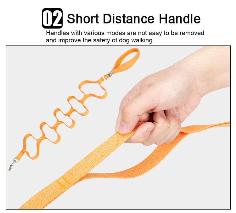 Truelove Eco-Friendly Dog Leash - immagine 4
