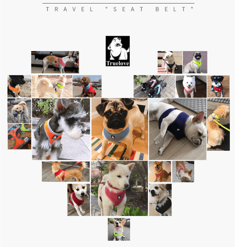 Truelove Comfortable Soft Breathable Pet Vest - immagine 5