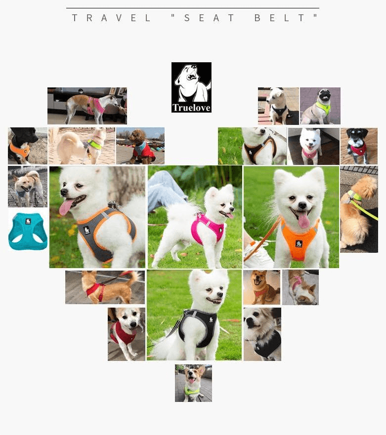 Truelove Breathable Dog Harness - immagine 7
