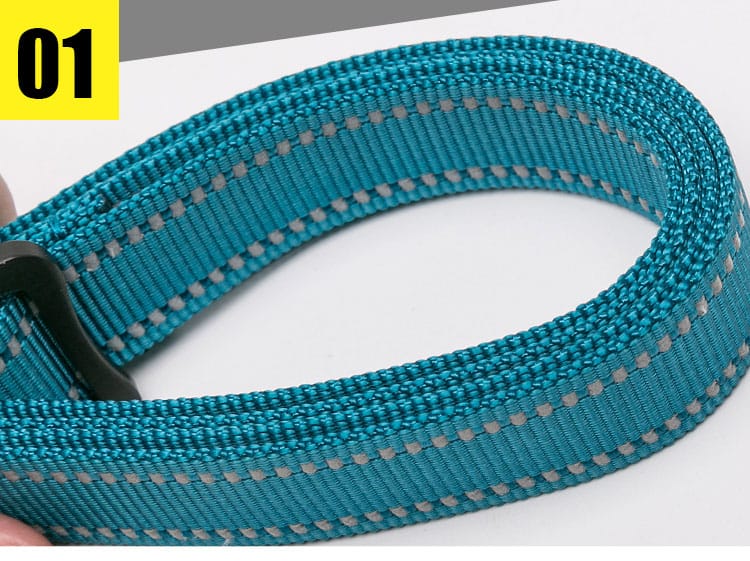 Truelove Adjustable Multi-Function Dog Leash - immagine 2