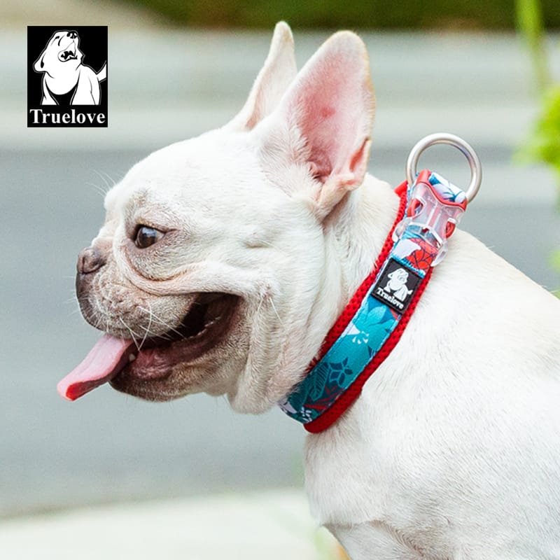 Truelove Floral Camouflage Pog Collar - immagine 11