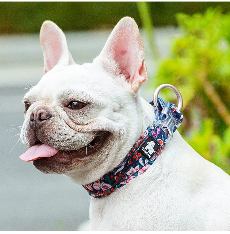 Truelove Floral Camouflage Pog Collar - immagine 8