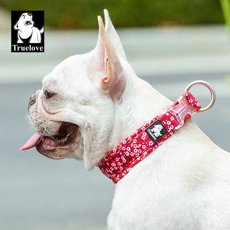 Truelove Floral Camouflage Pog Collar - immagine 9